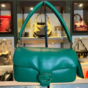 coach pillow tabby 26