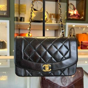 Chanel Diana 22 Flap Bag