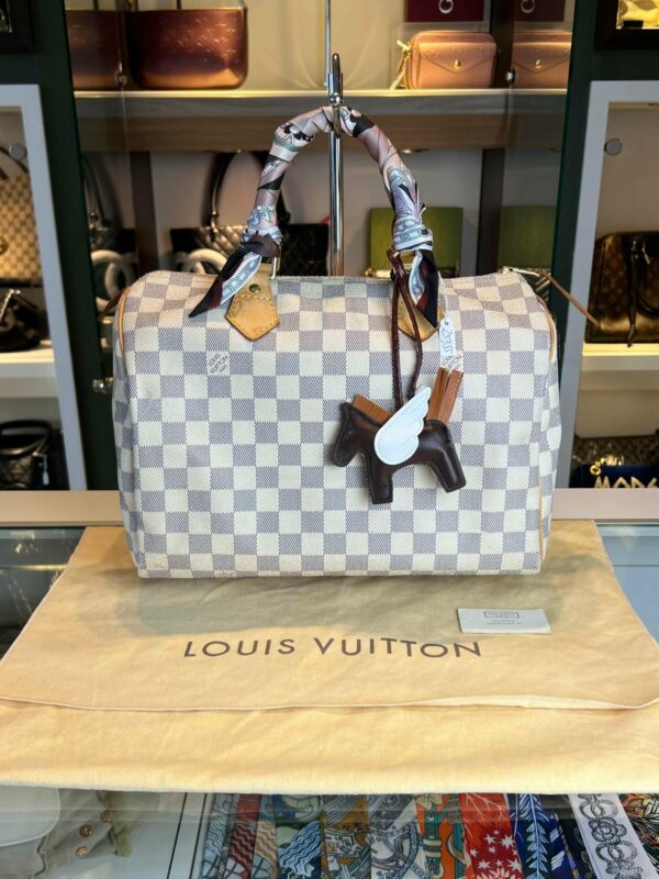 Louis Vuitton speedy 30