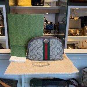 gucci ophidia pouch