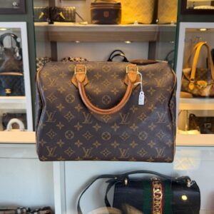 louis vuitton speedy 30 monogram
