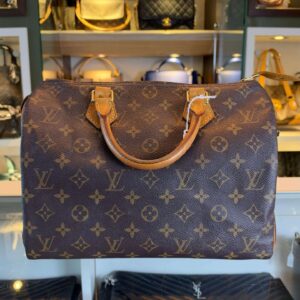 louis vuitton speedy 30 monogram